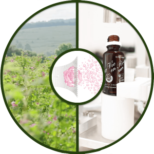 Dedicated to creating entirely organic products, many years of research and trials, Ecomaat believe this is how best solve individual skin care needs.