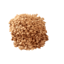 Sesame (Sesamum indicum) seed 