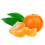 Tangerine (Citrus reticulata)