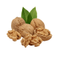 Walnut (Semen juglans regia)