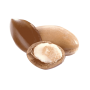 Argan (Argania spinosa) kernel