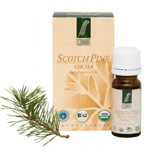 Pure Scotch pine organic oil 10ml (Pinus silvestris) Ecomaat